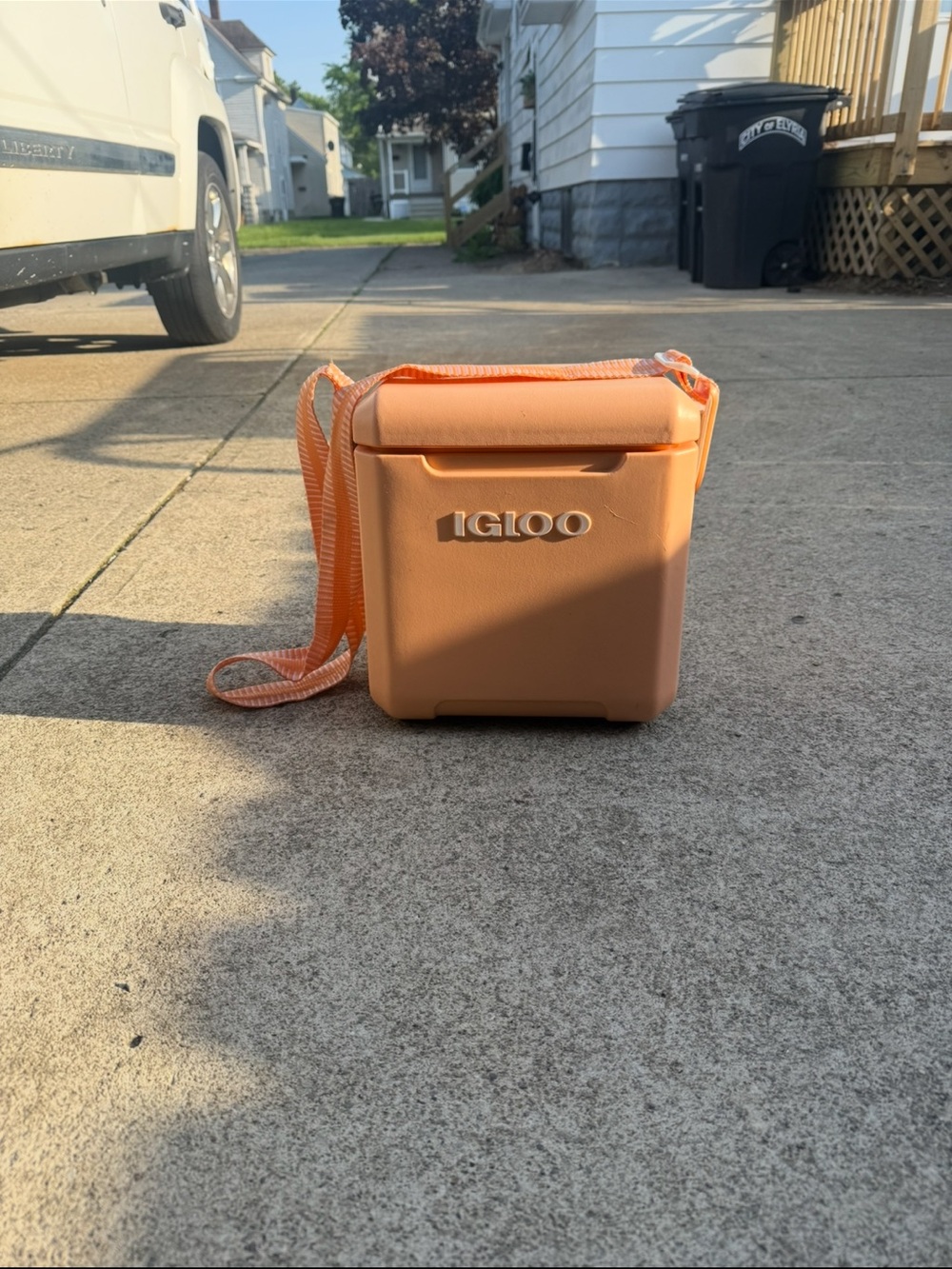 Portable Cooler (Igloo)